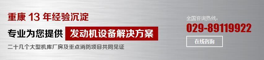 康明斯發(fā)動機(jī)租賃 康明斯發(fā)動機(jī)租賃